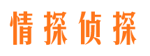 东平侦探